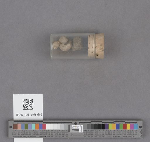 NSF ADBC EPICC TCN