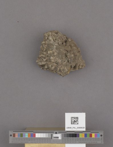 NSF ADBC EPICC TCN