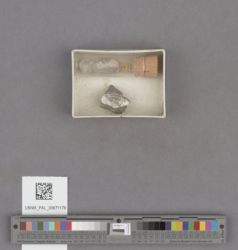 NSF ADBC EPICC TCN