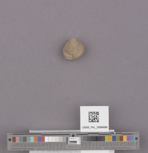 NSF ADBC EPICC TCN