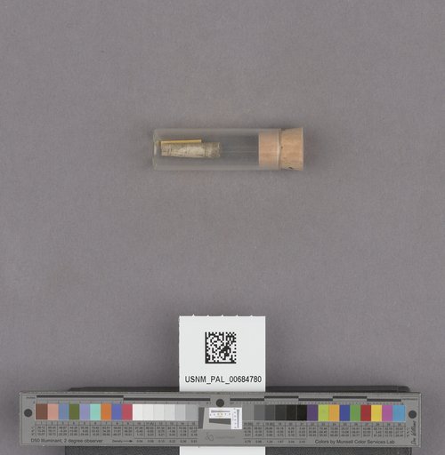 NSF ADBC EPICC TCN