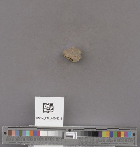NSF ADBC EPICC TCN