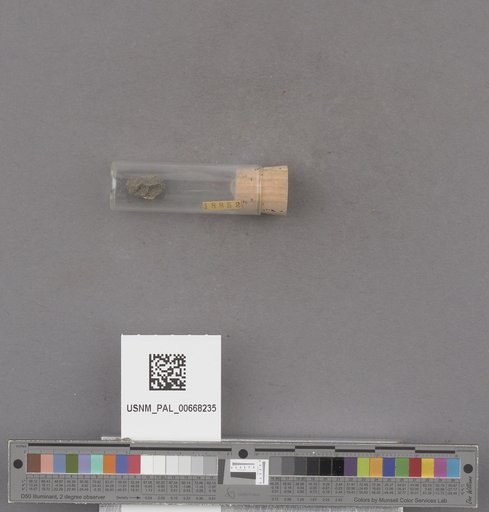 NSF ADBC EPICC TCN