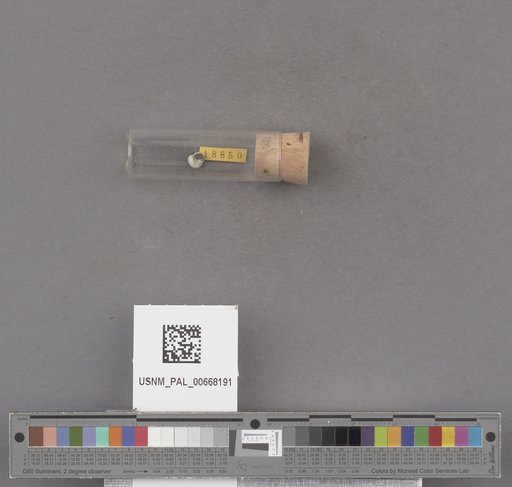 NSF ADBC EPICC TCN