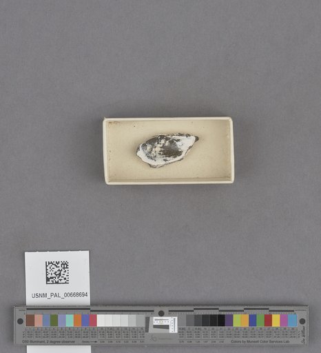 NSF ADBC EPICC TCN