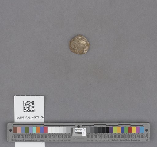 NSF ADBC EPICC TCN