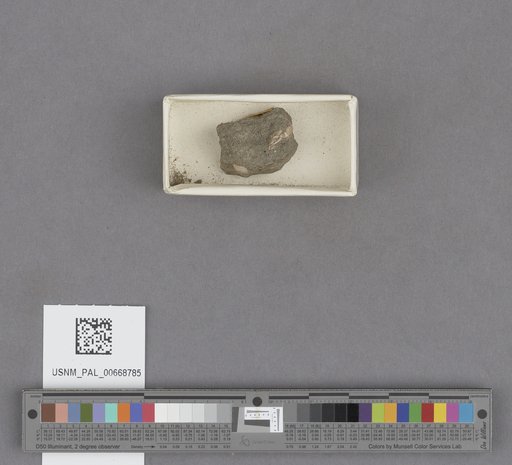 NSF ADBC EPICC TCN