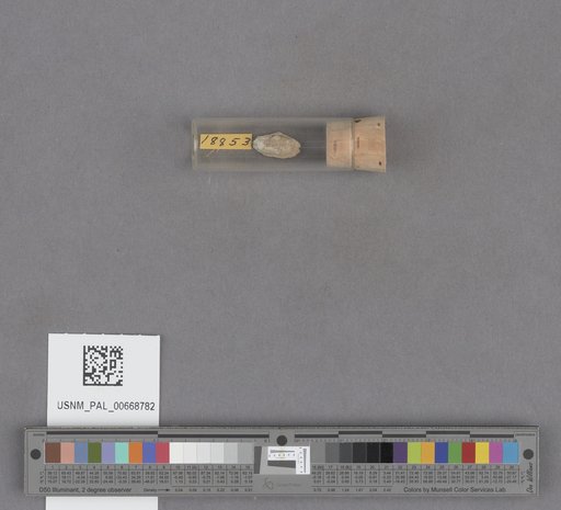NSF ADBC EPICC TCN