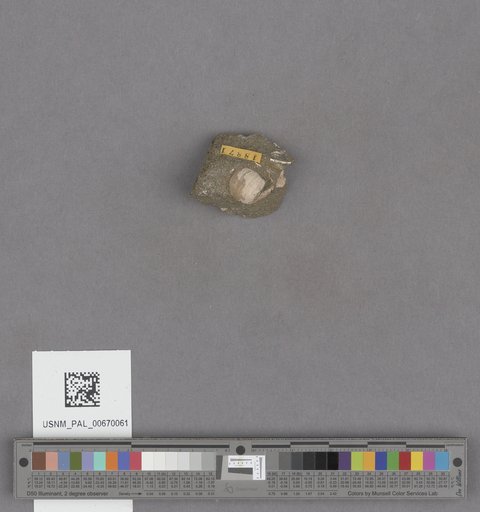 NSF ADBC EPICC TCN