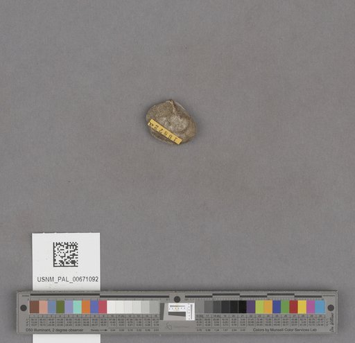 NSF ADBC EPICC TCN