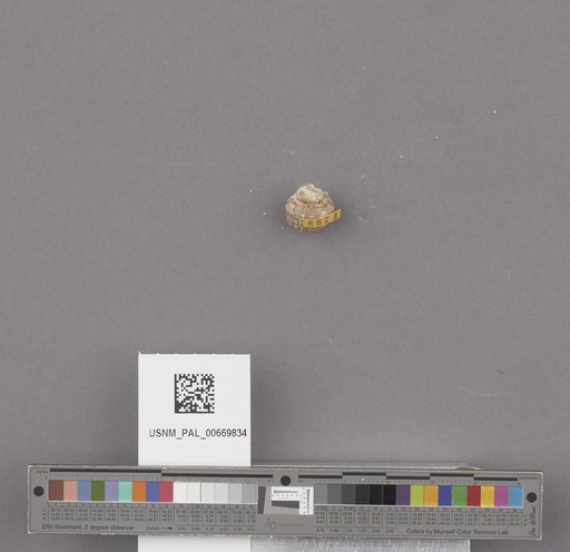 NSF ADBC EPICC TCN
