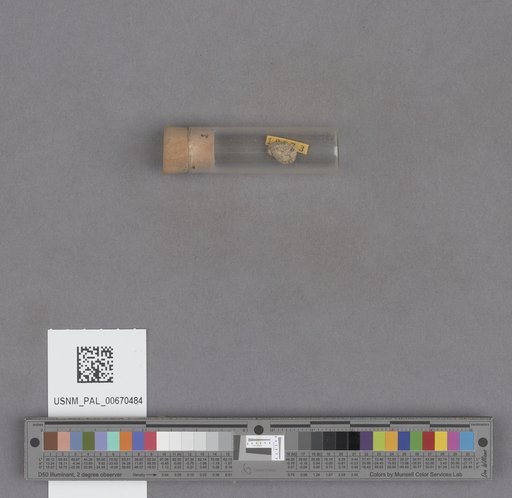 NSF ADBC EPICC TCN