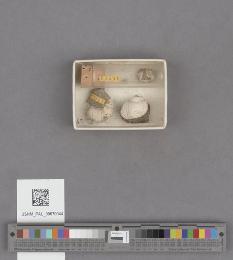 NSF ADBC EPICC TCN