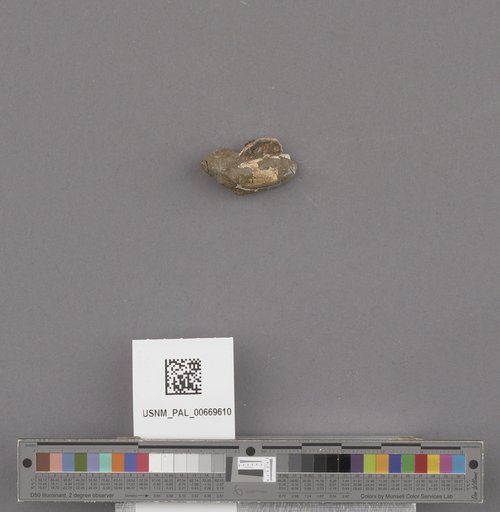 NSF ADBC EPICC TCN