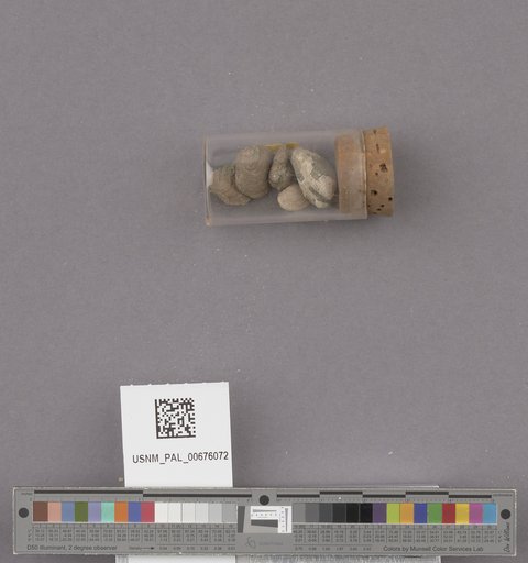 NSF ADBC EPICC TCN