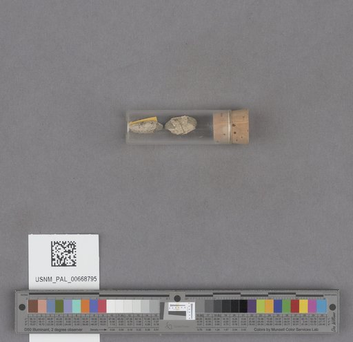 NSF ADBC EPICC TCN