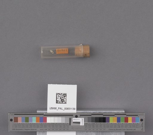 NSF ADBC EPICC TCN