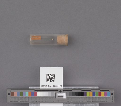 NSF ADBC EPICC TCN