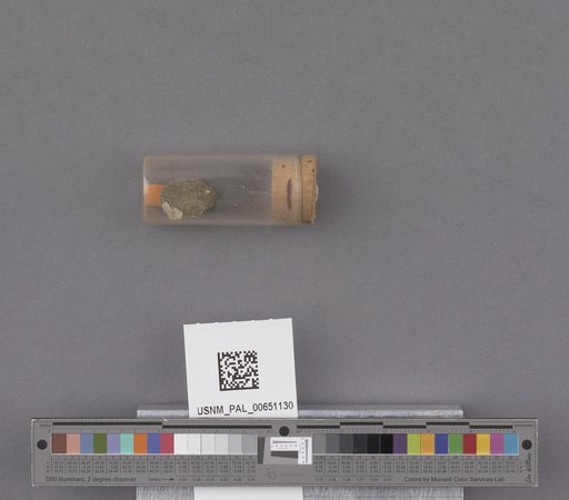 NSF ADBC EPICC TCN