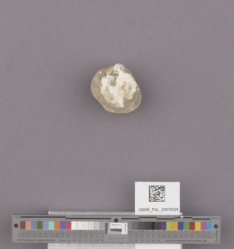 NSF ADBC EPICC TCN