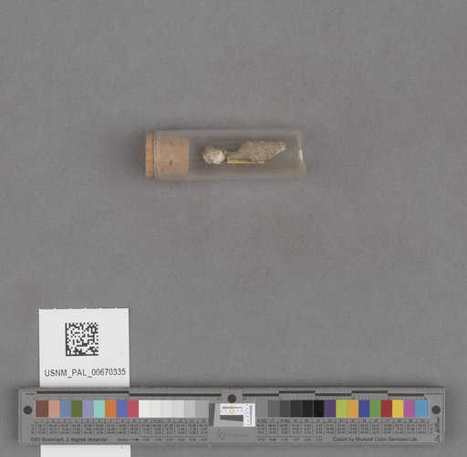 NSF ADBC EPICC TCN