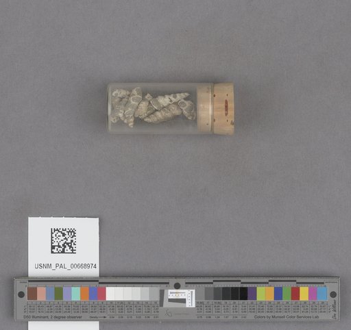 NSF ADBC EPICC TCN