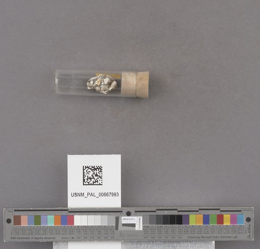 NSF ADBC EPICC TCN