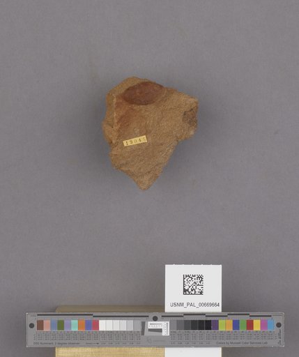 NSF ADBC EPICC TCN