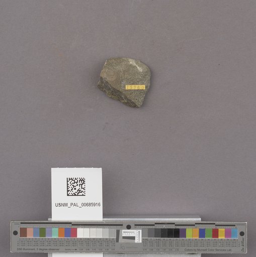 NSF ADBC EPICC TCN