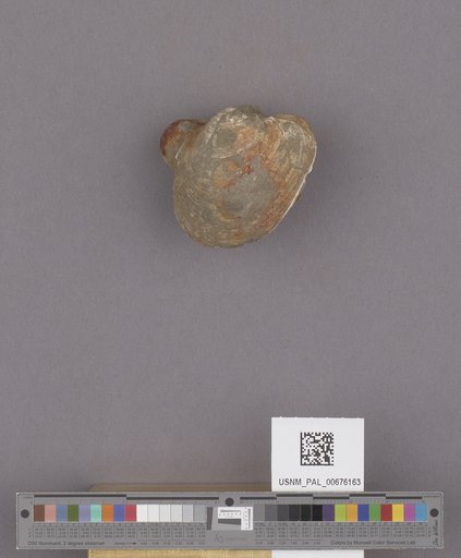 NSF ADBC EPICC TCN