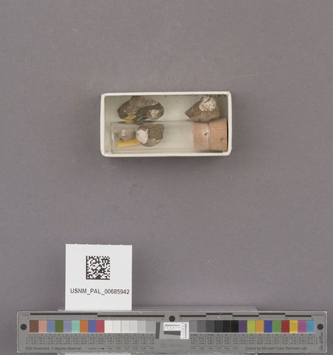 NSF ADBC EPICC TCN
