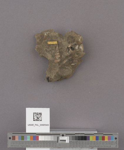 NSF ADBC EPICC TCN