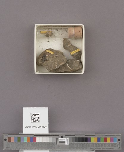 NSF ADBC EPICC TCN