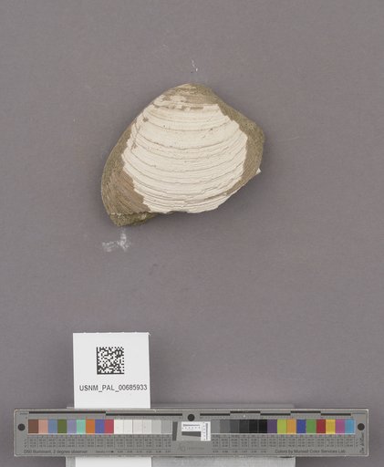 NSF ADBC EPICC TCN