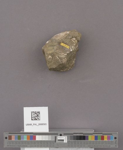 NSF ADBC EPICC TCN