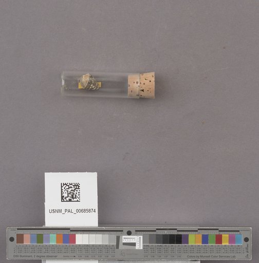 NSF ADBC EPICC TCN