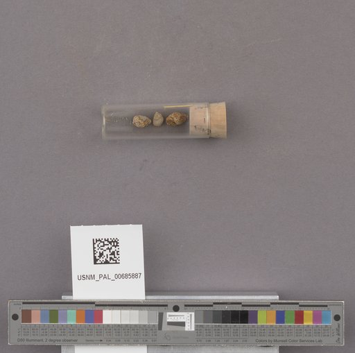 NSF ADBC EPICC TCN