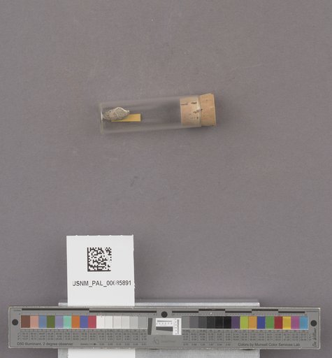 NSF ADBC EPICC TCN