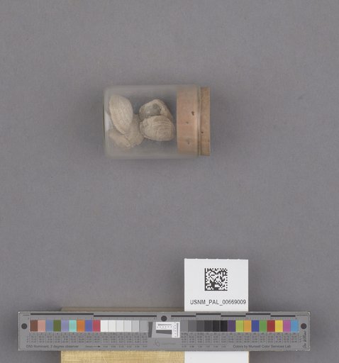 NSF ADBC EPICC TCN
