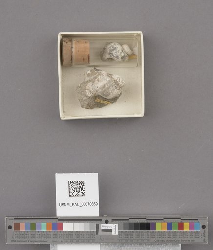 NSF ADBC EPICC TCN