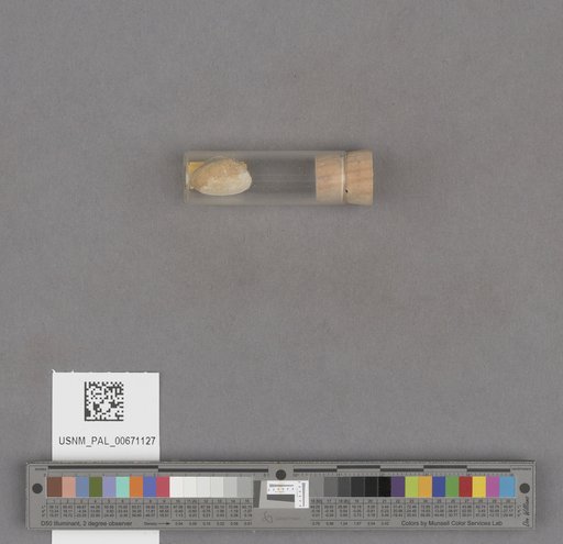 NSF ADBC EPICC TCN