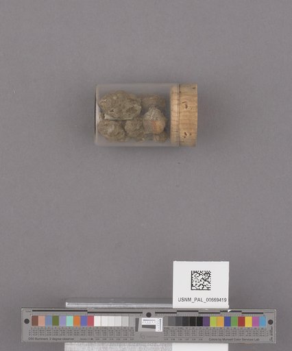 NSF ADBC EPICC TCN
