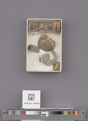 NSF ADBC EPICC TCN