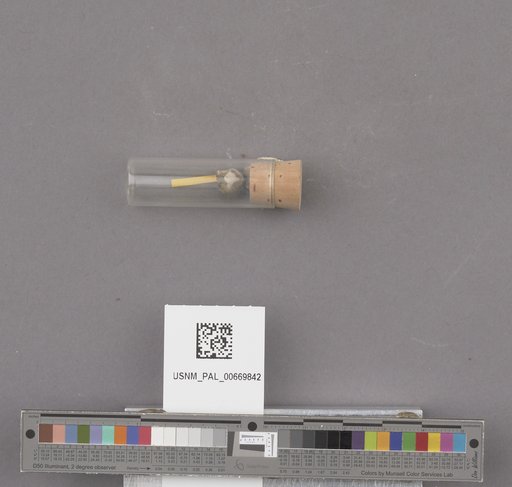 NSF ADBC EPICC TCN