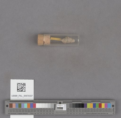 NSF ADBC EPICC TCN