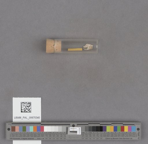 NSF ADBC EPICC TCN