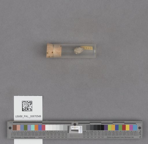 NSF ADBC EPICC TCN