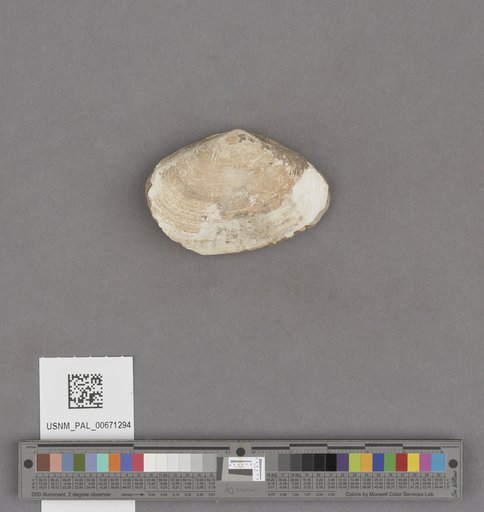 NSF ADBC EPICC TCN