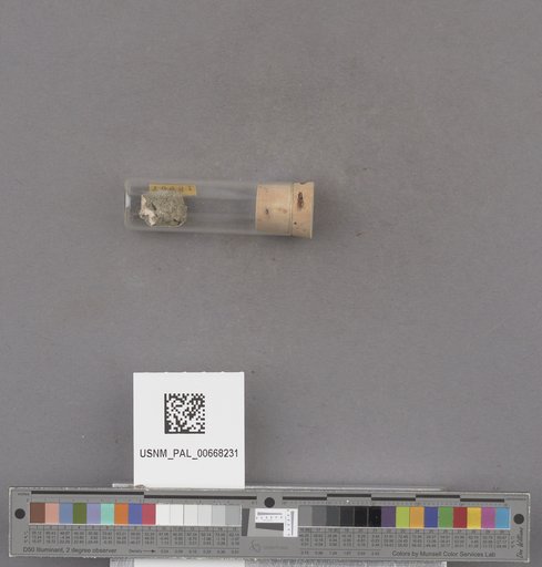NSF ADBC EPICC TCN
