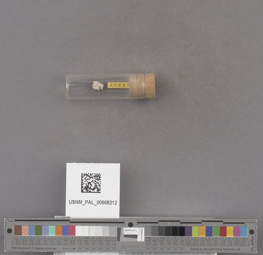 NSF ADBC EPICC TCN
